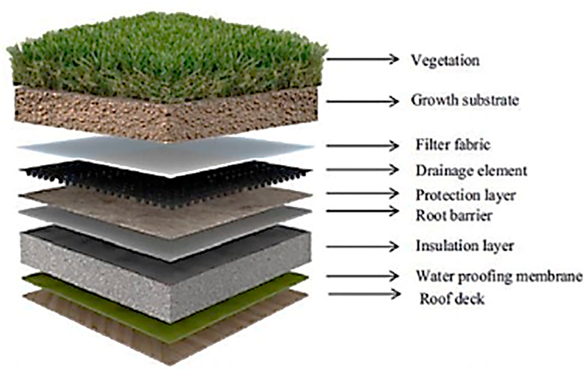 A diagram showing the layers of a green roof