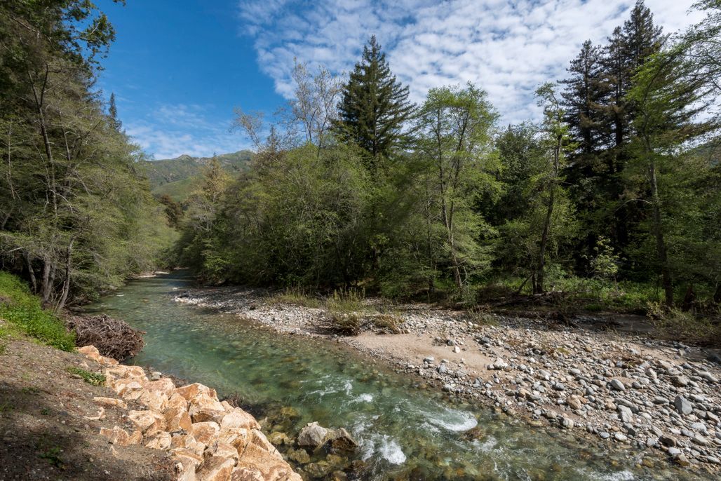 Blue sky with trees and a stream in the foreground