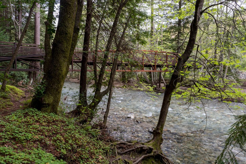 A wooden bridge over a river in the woods.