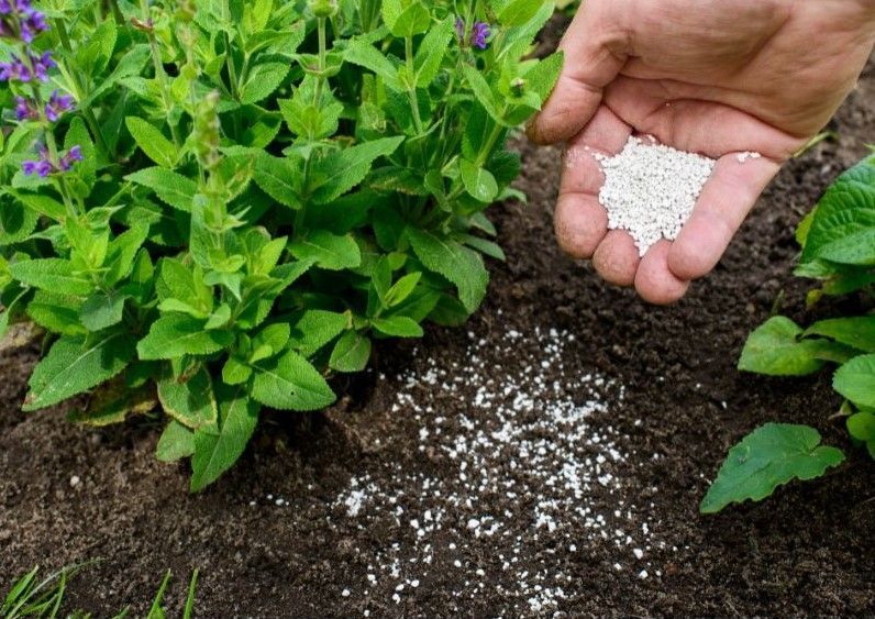 Fertilize flowers