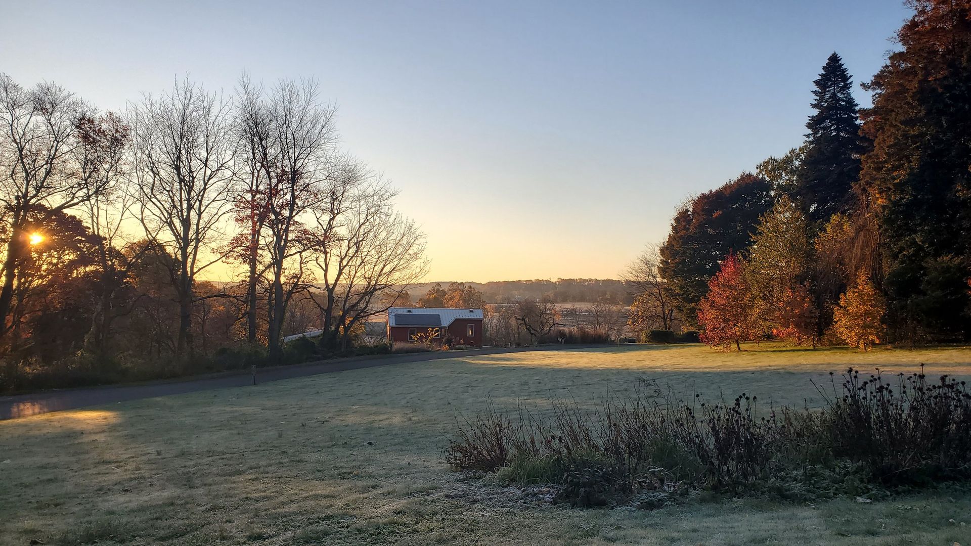 A field with trees and a house in the background