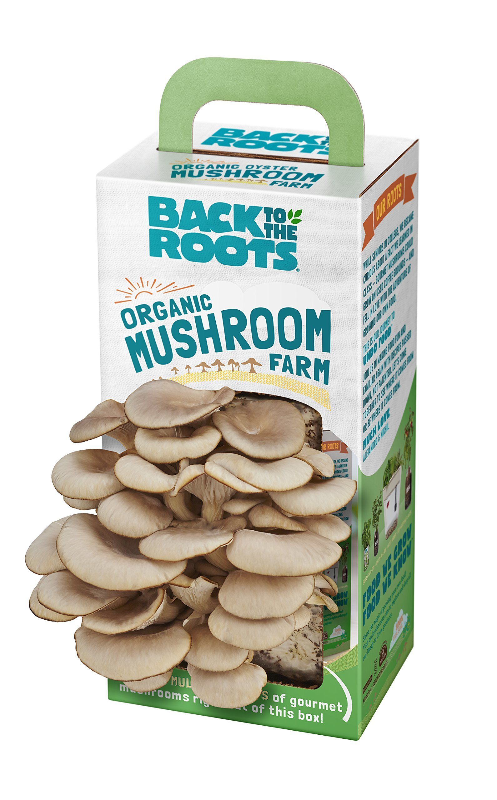 back to the roots mushroom growing kit