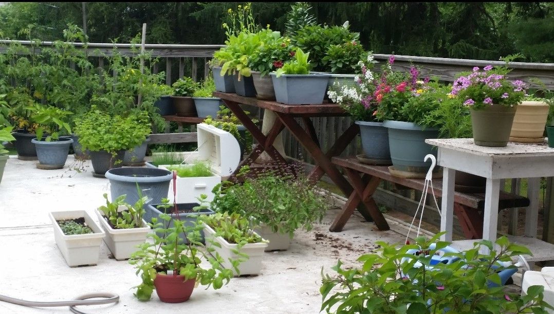 roof-top container garden