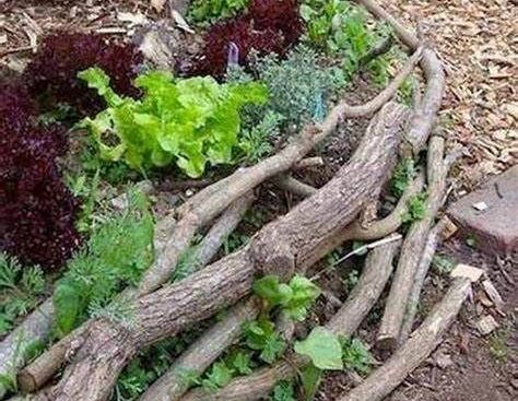 A pile of wood and plants in a garden.