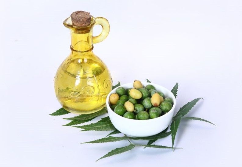 neem oil spray