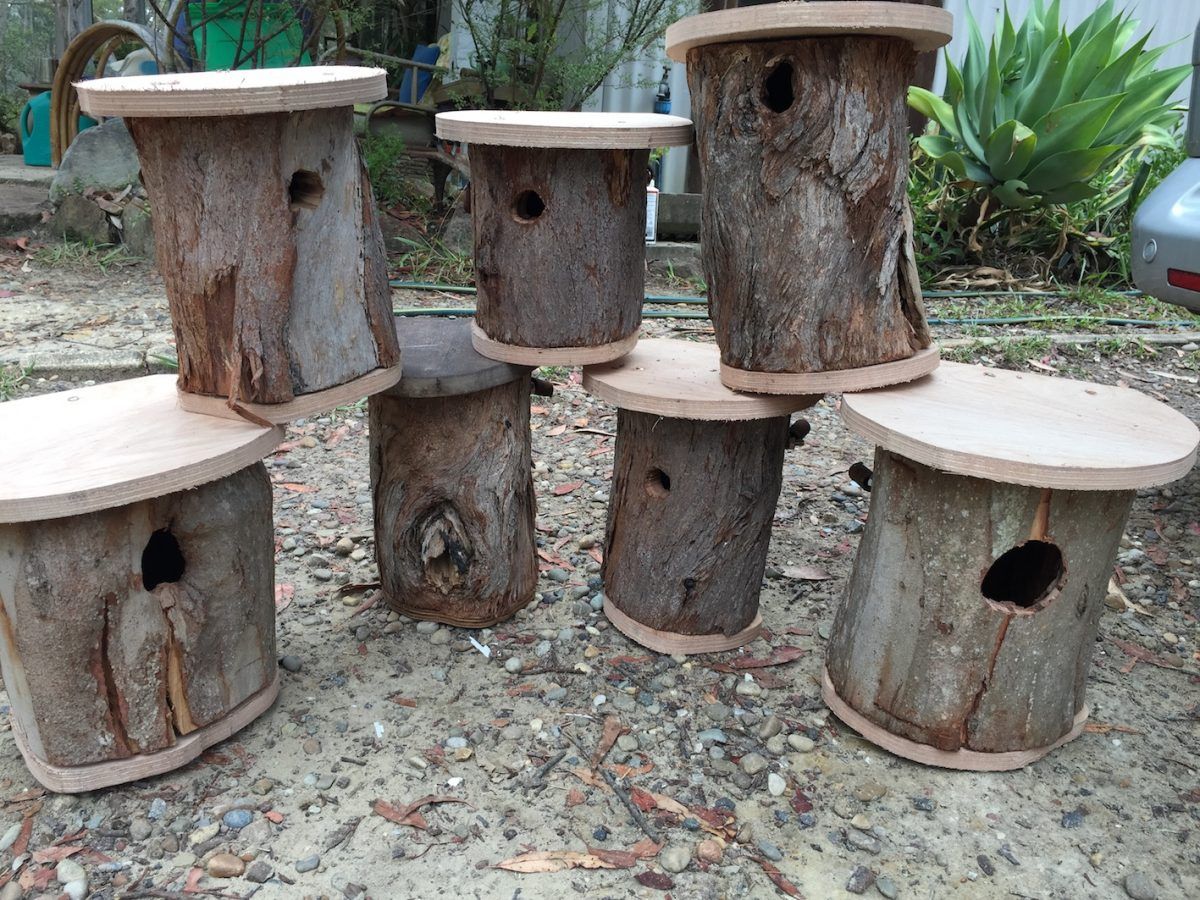 nesting boxes made from tree trunks