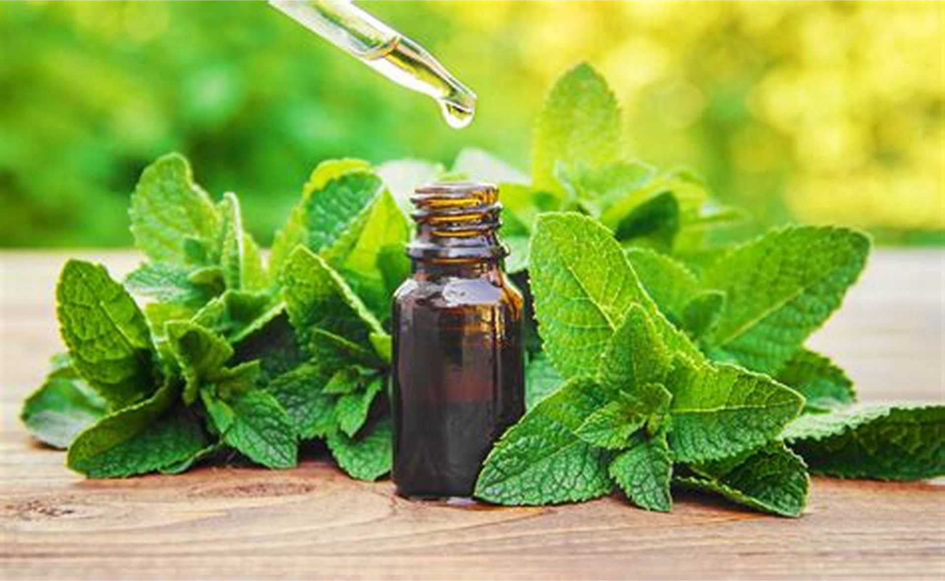 A bottle of mint essential oil is sitting on a wooden table next to mint leaves.