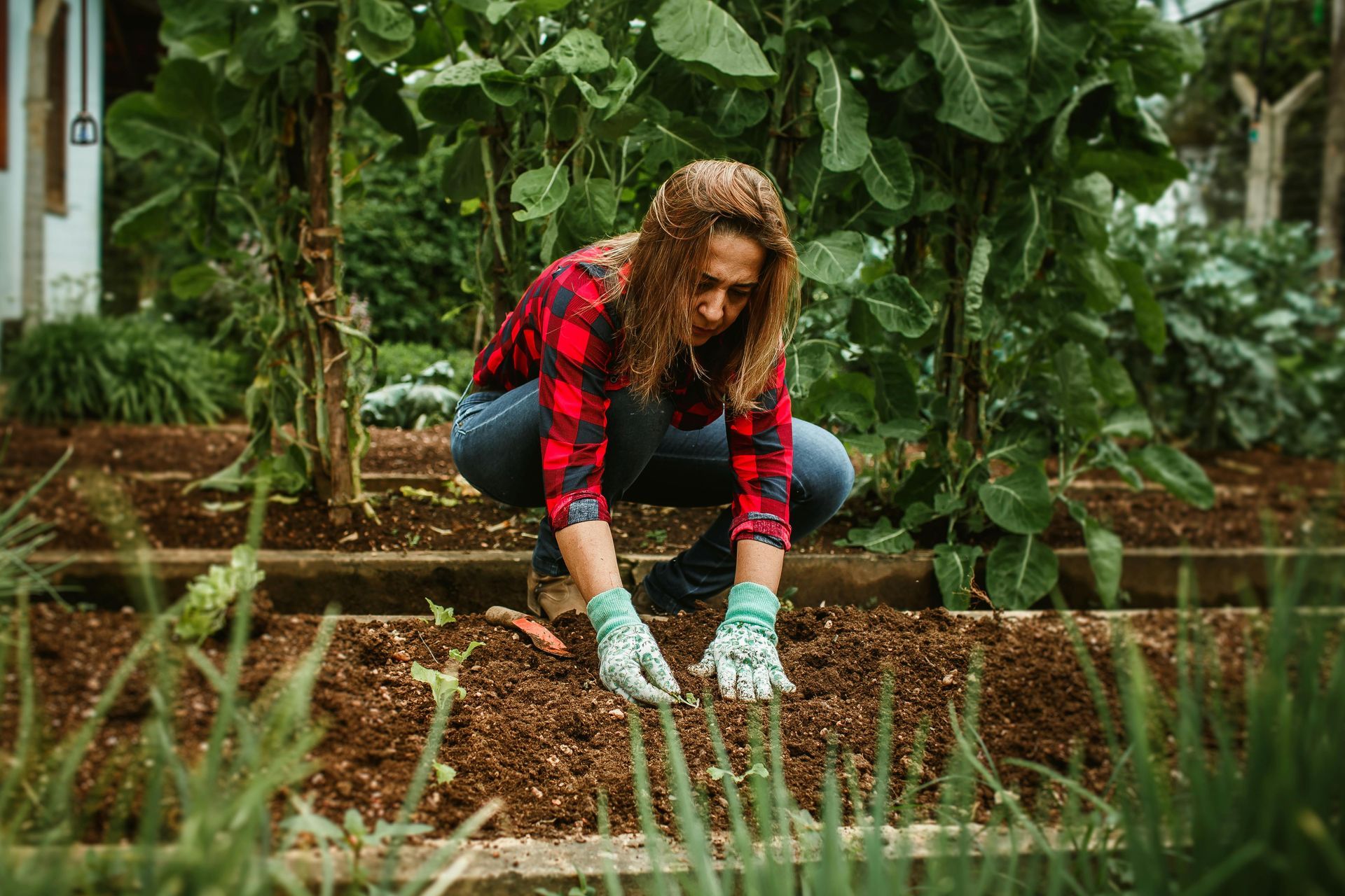 A woman is kneeling down in a garden planting vegetables.