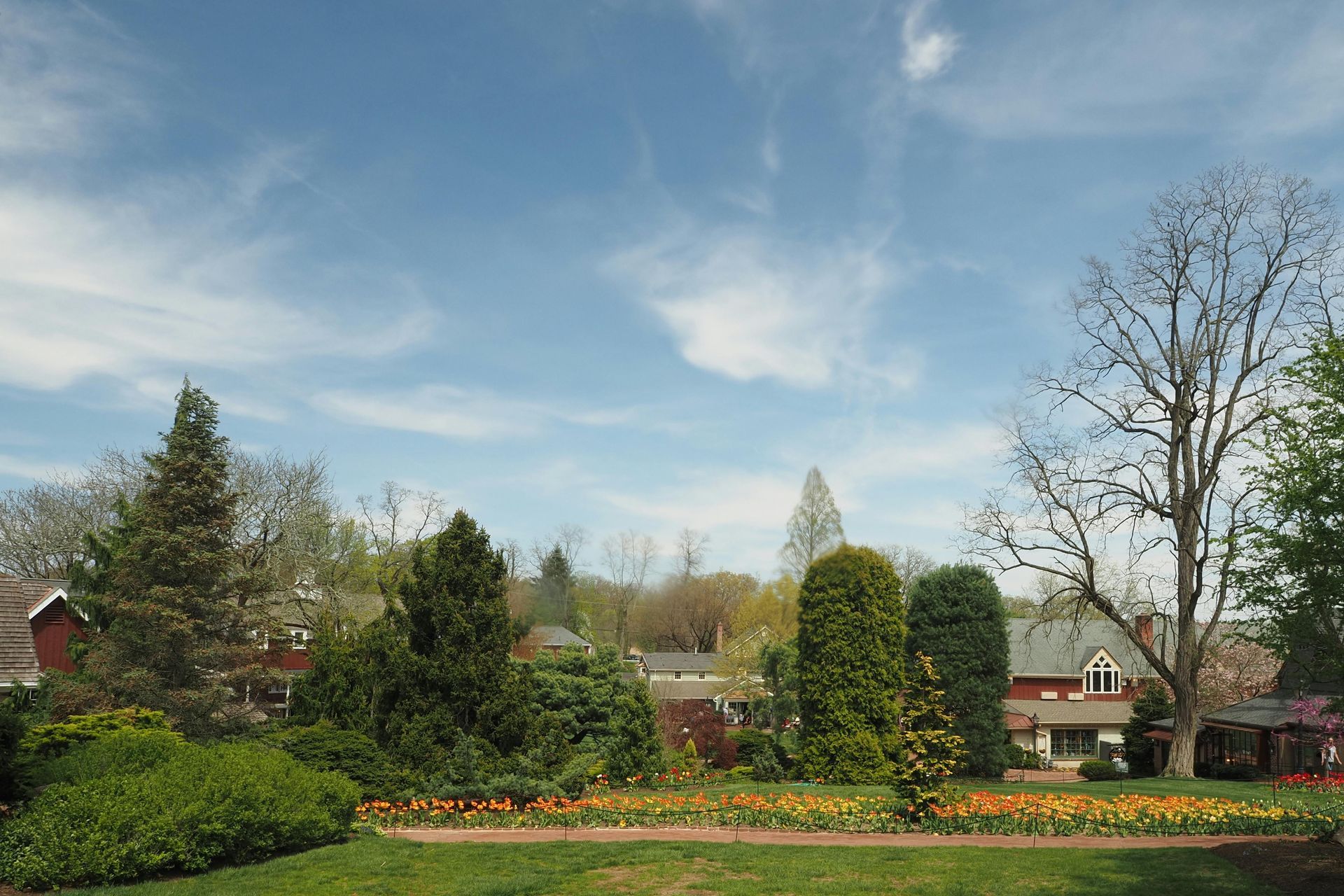 A certified wildlife-friendly garden with a house in the background