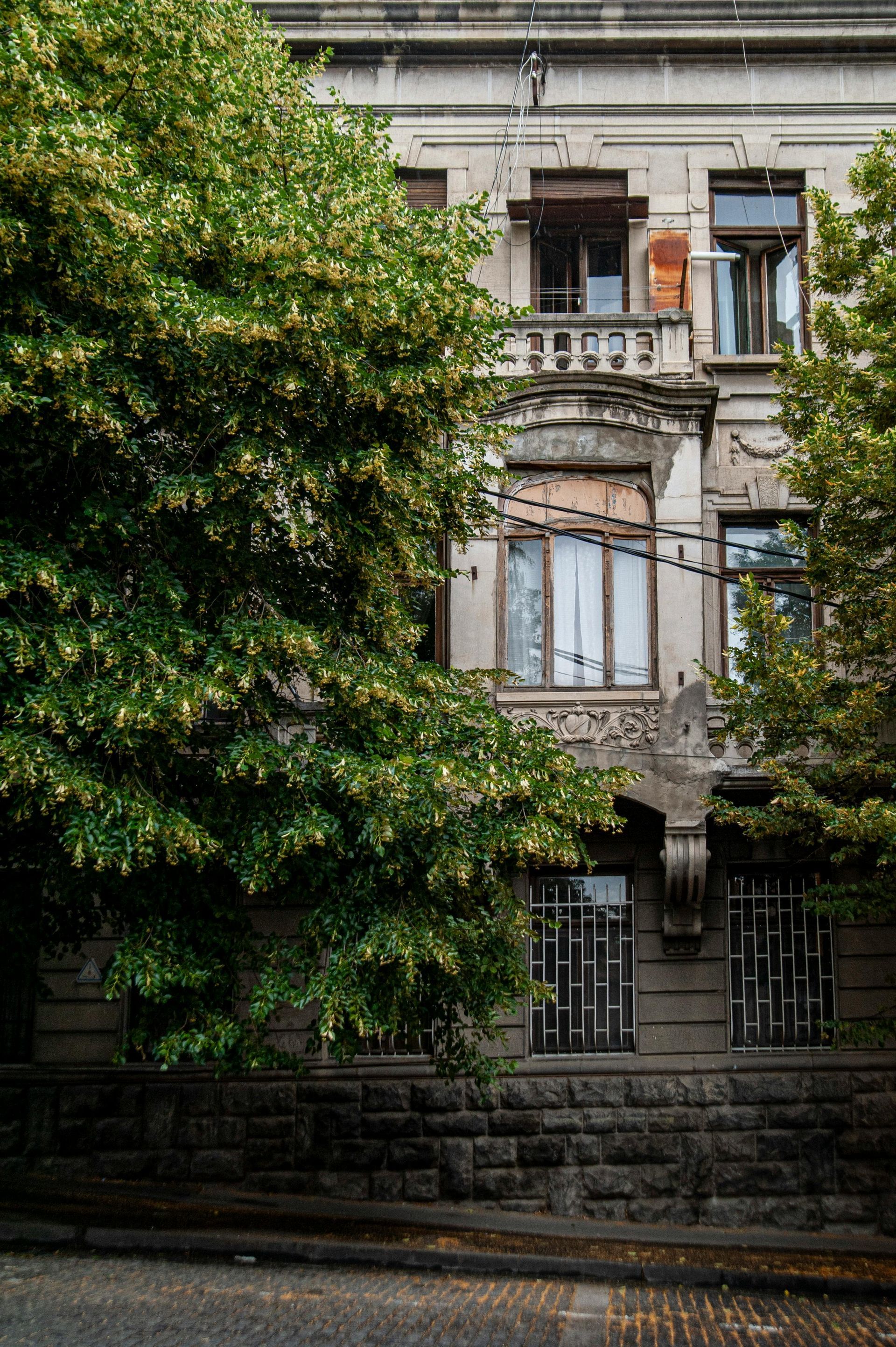 A large building with a tree in front of it.