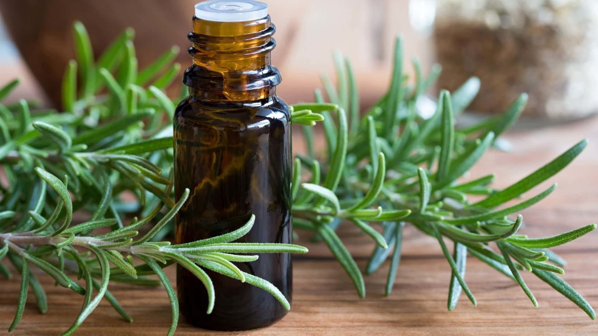 A bottle of rosemary essential oil is sitting on a wooden table.