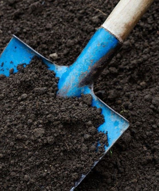 a shovel in the soil