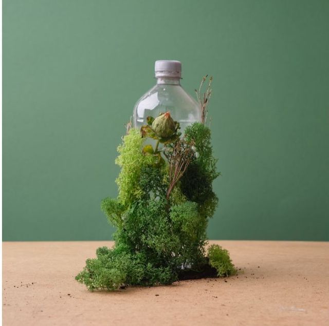 a bottle on a table with plants growing out of it