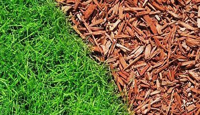 A green lawn next to a pile of brown mulch.