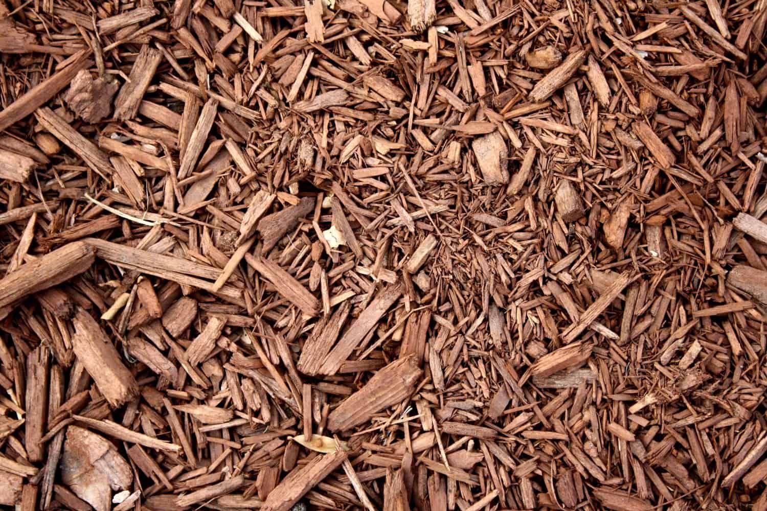 composted wood chips