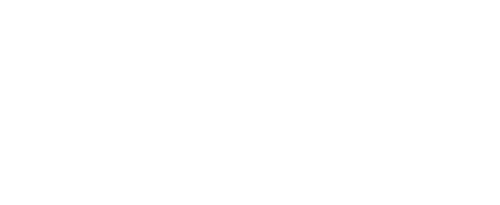 Electronic Security Services Logo