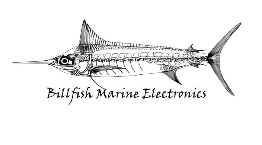 Black and white drawing of a billfish skeleton, with the words 