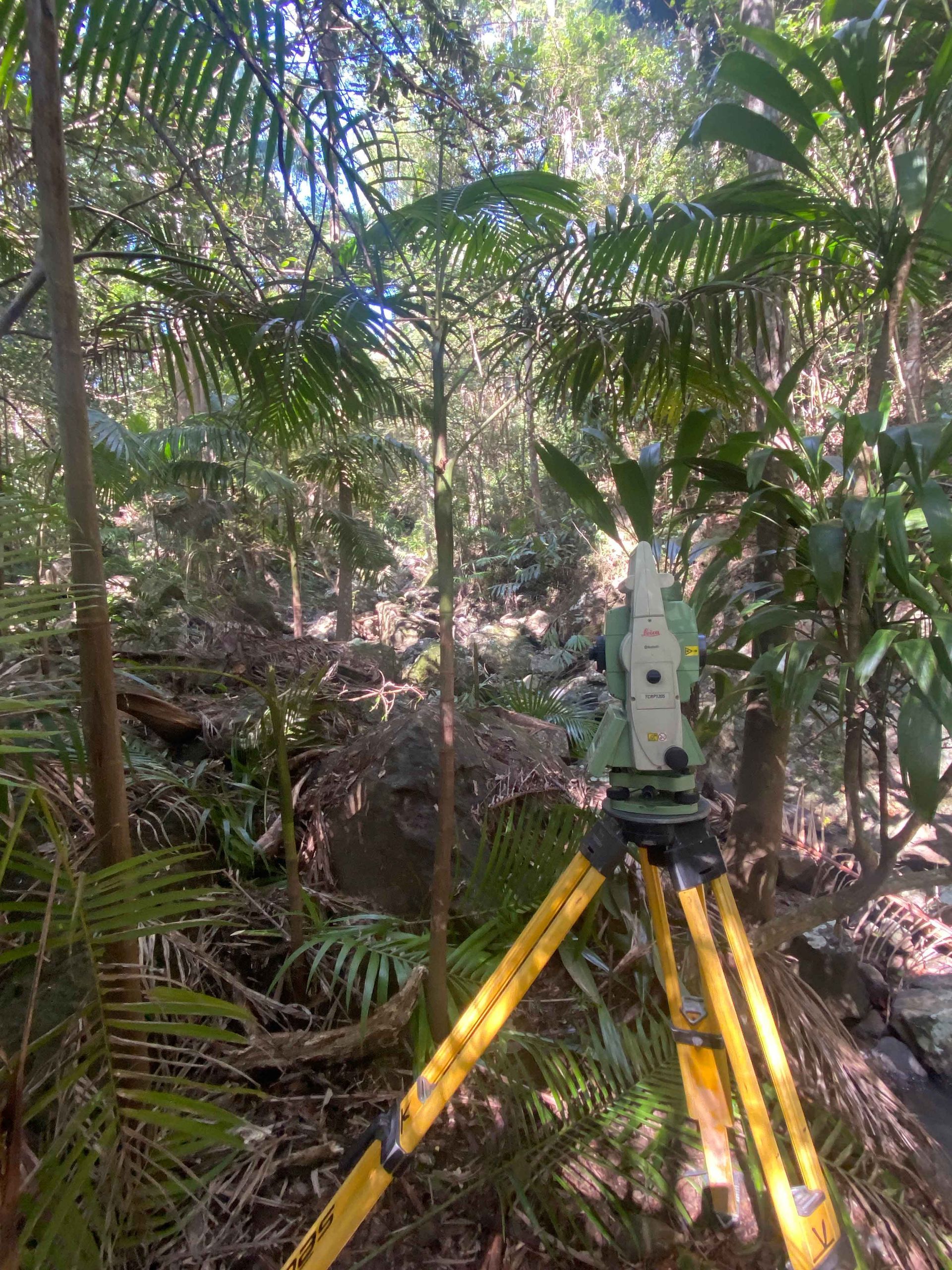 Surveying equipment set up in a lush forest.