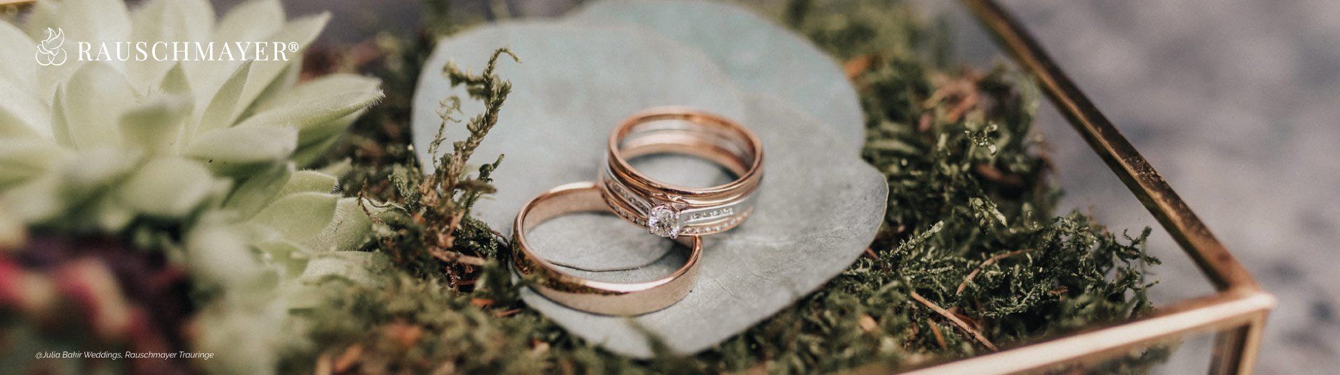 Ein paar Eheringe, die auf einem Stück Moos liegen.