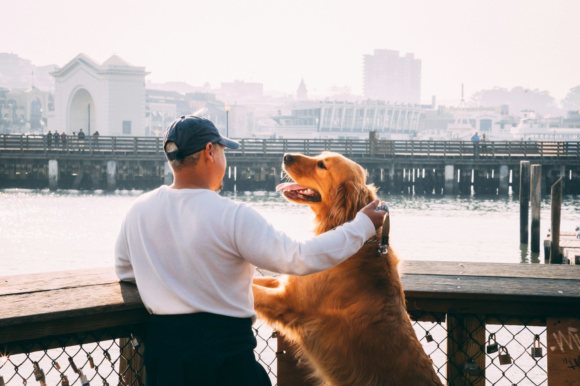 Man in a white shirt petting a golden dog by a waterfront railing at sunset