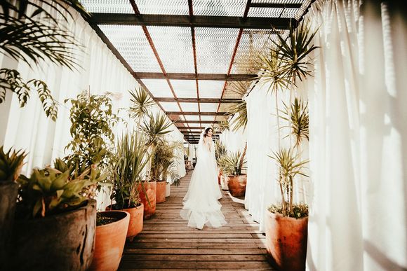 Bride in a white dress walking through a sunlit greenhouse corridor lined with potted plants