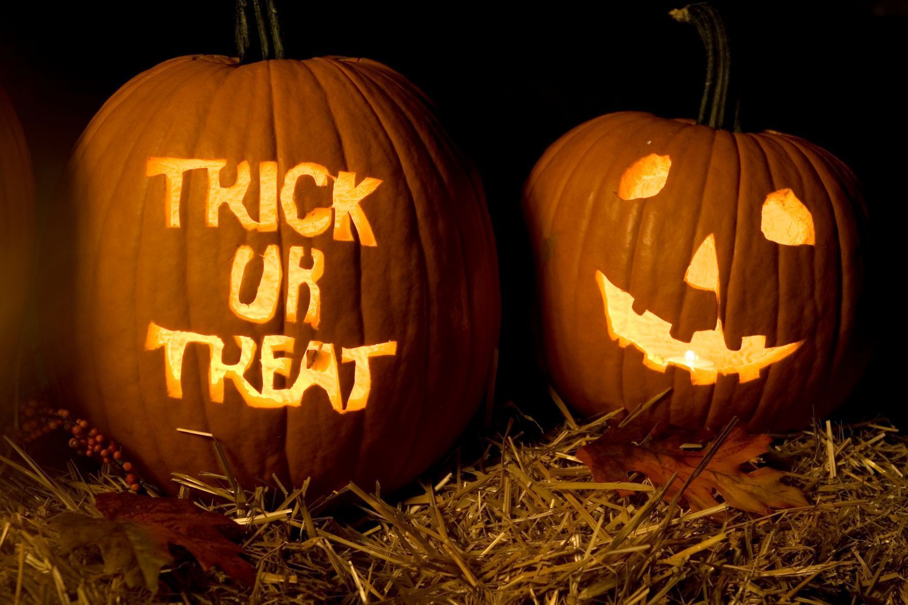 Halloween pumpkins in South Florida