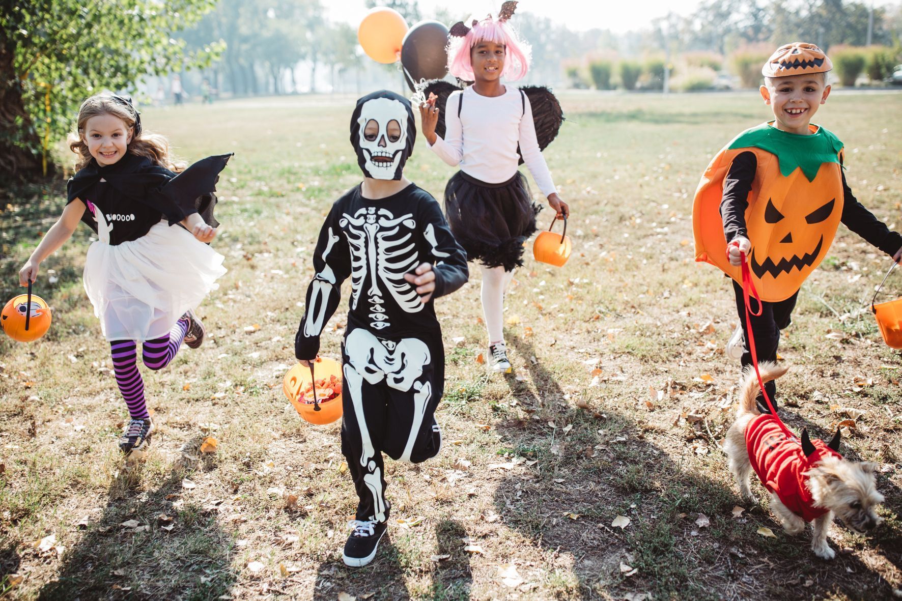 Kid trick or treating in south Florida