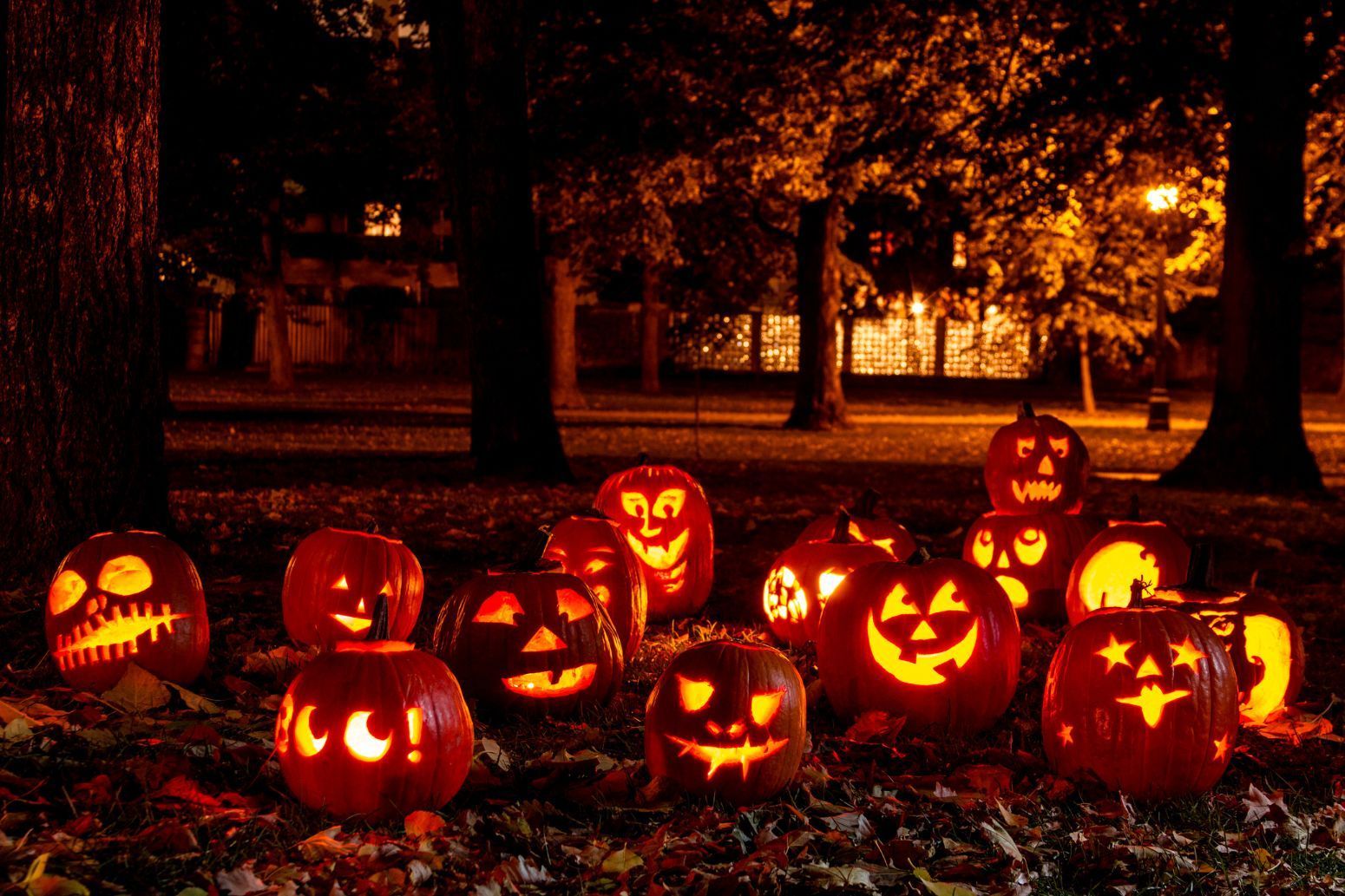 Halloween decorations at event in southwest Florida