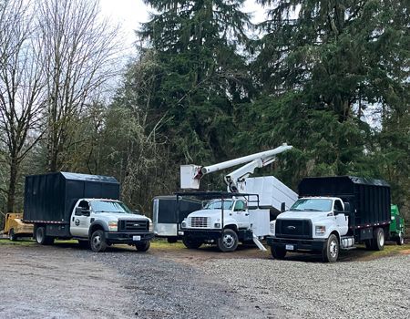 Three trucks are parked next to each other in a gravel lot.