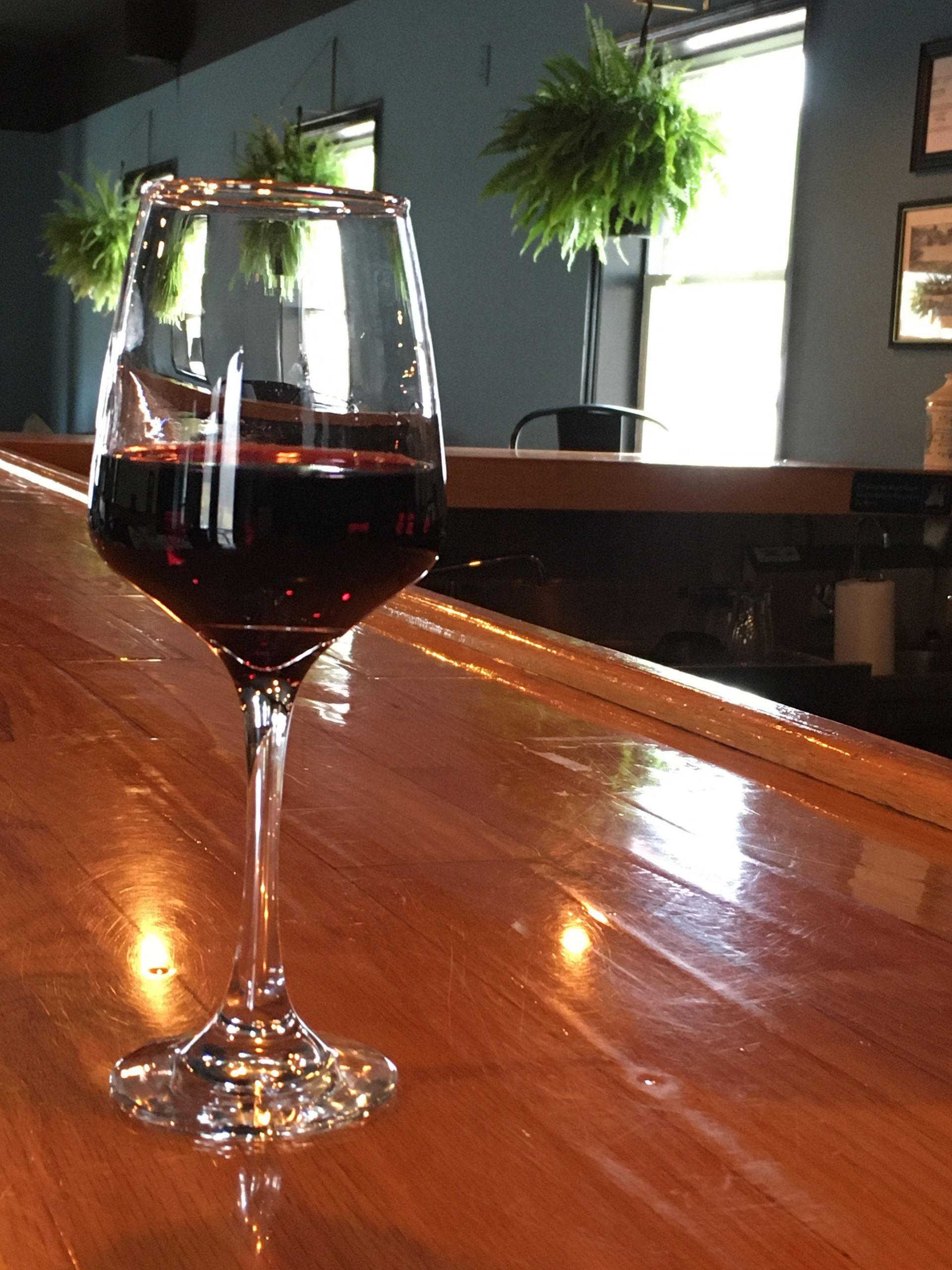 A glass of red wine sits on a polished wooden bar in a restaurant with plants hanging in the background.