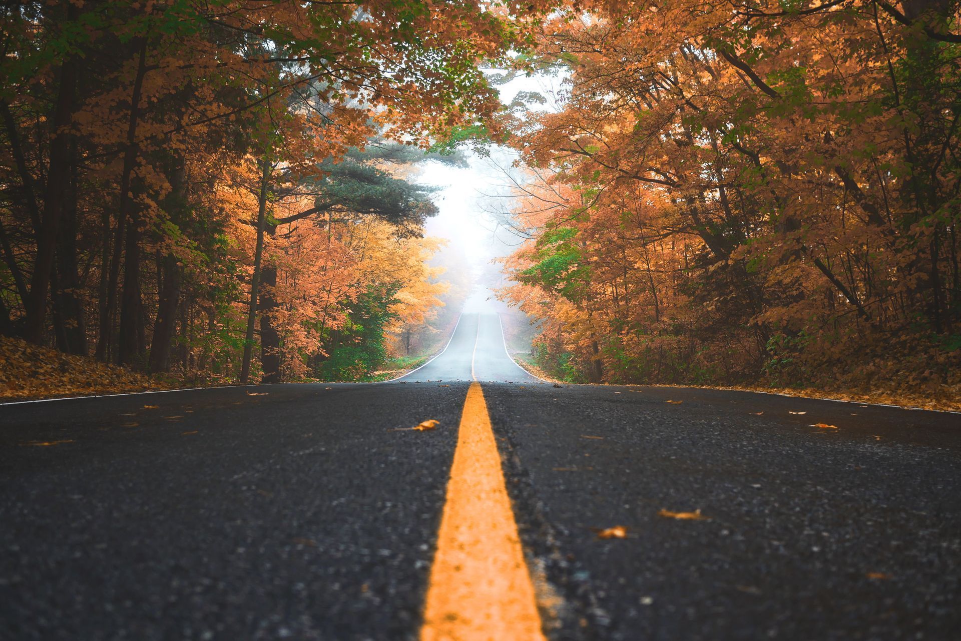 An asphalt road with a center yellow line stretches into a misty forest canopy filled with vibrant orange autumn leaves.