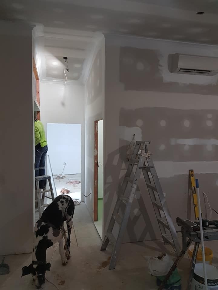 Construction in hallway with worker on ladder, dog walking, and air conditioner.— Ionspark Electrical in Atherton, QLD