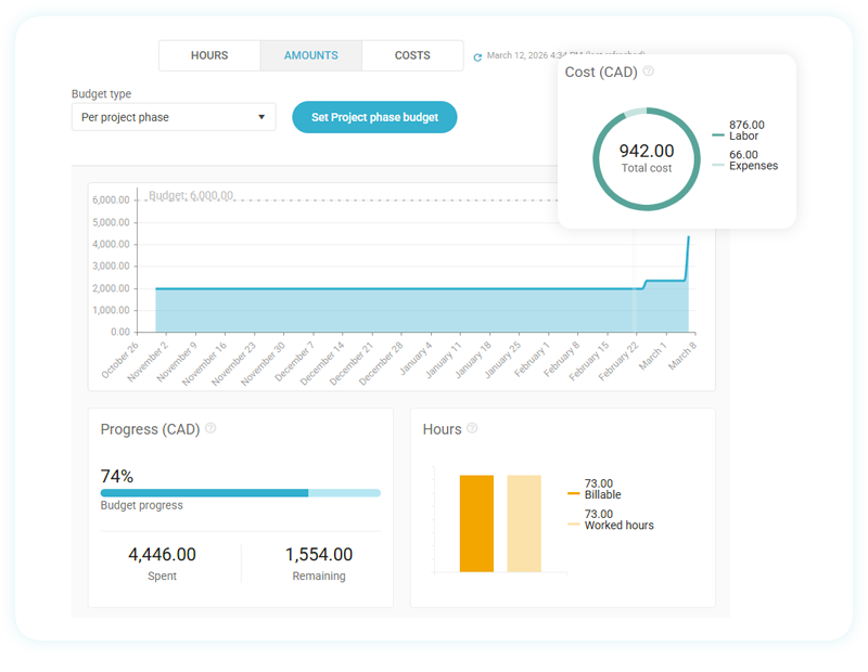 Project dashboard showing budget progress, total cost, remaining balance, and a historical area chart of expenses.