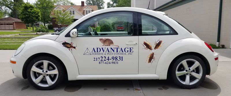 Advantage company vehicle