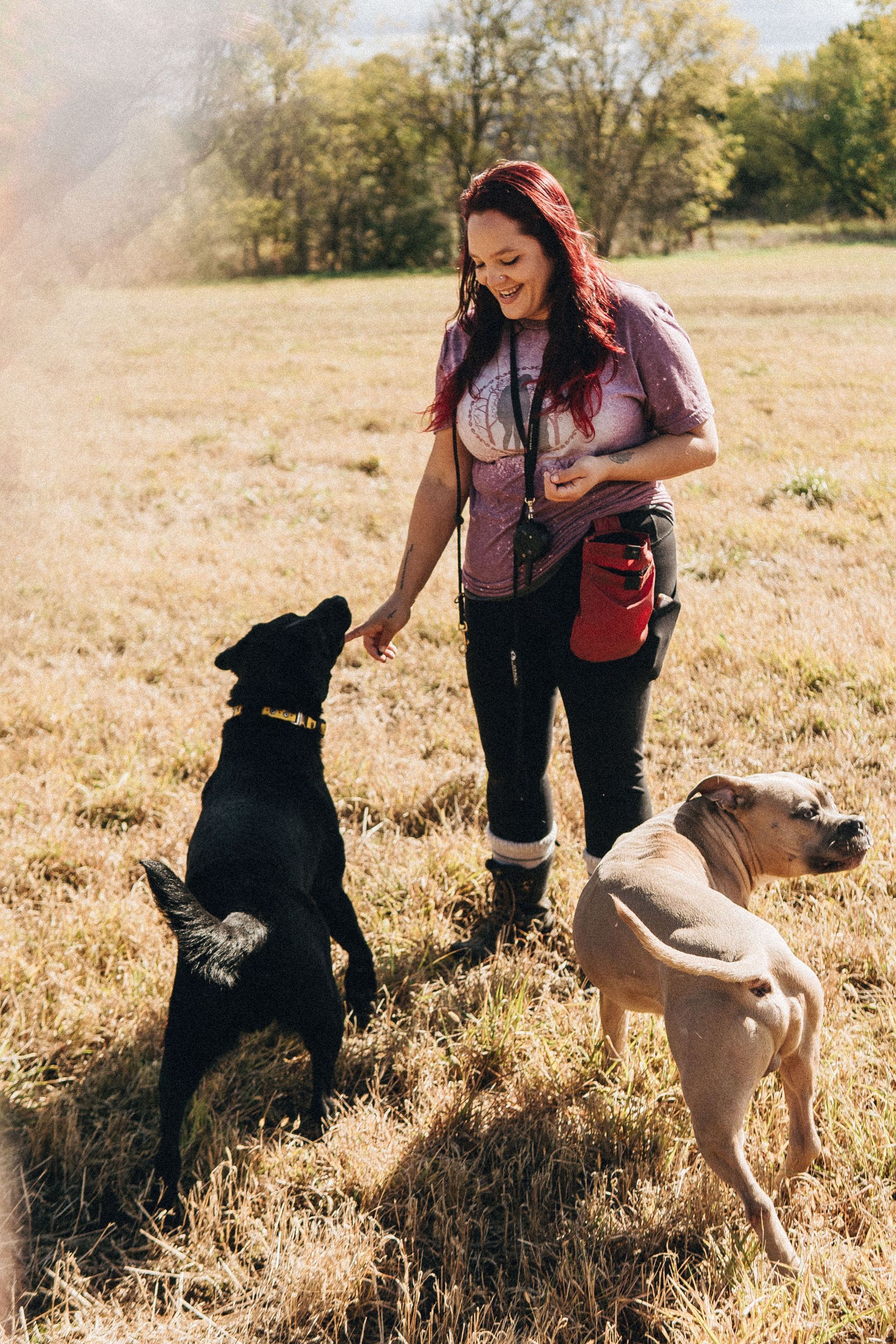 Woman in field with two dogs; one jumps up, other looks on.