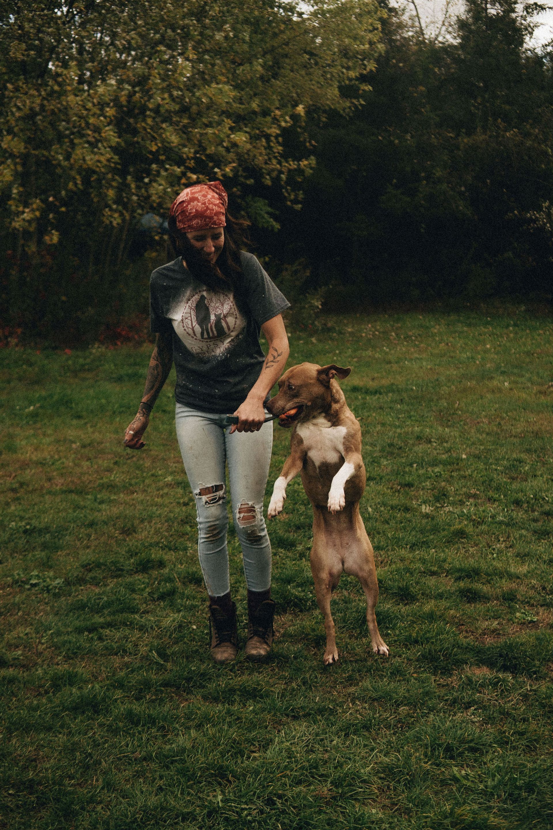 Woman in ripped jeans and bandanna trains a dog to stand in a grassy yard.