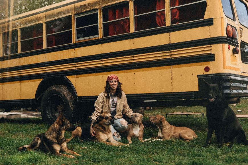 Woman sitting with five dogs in front of a yellow school bus on a grassy field.