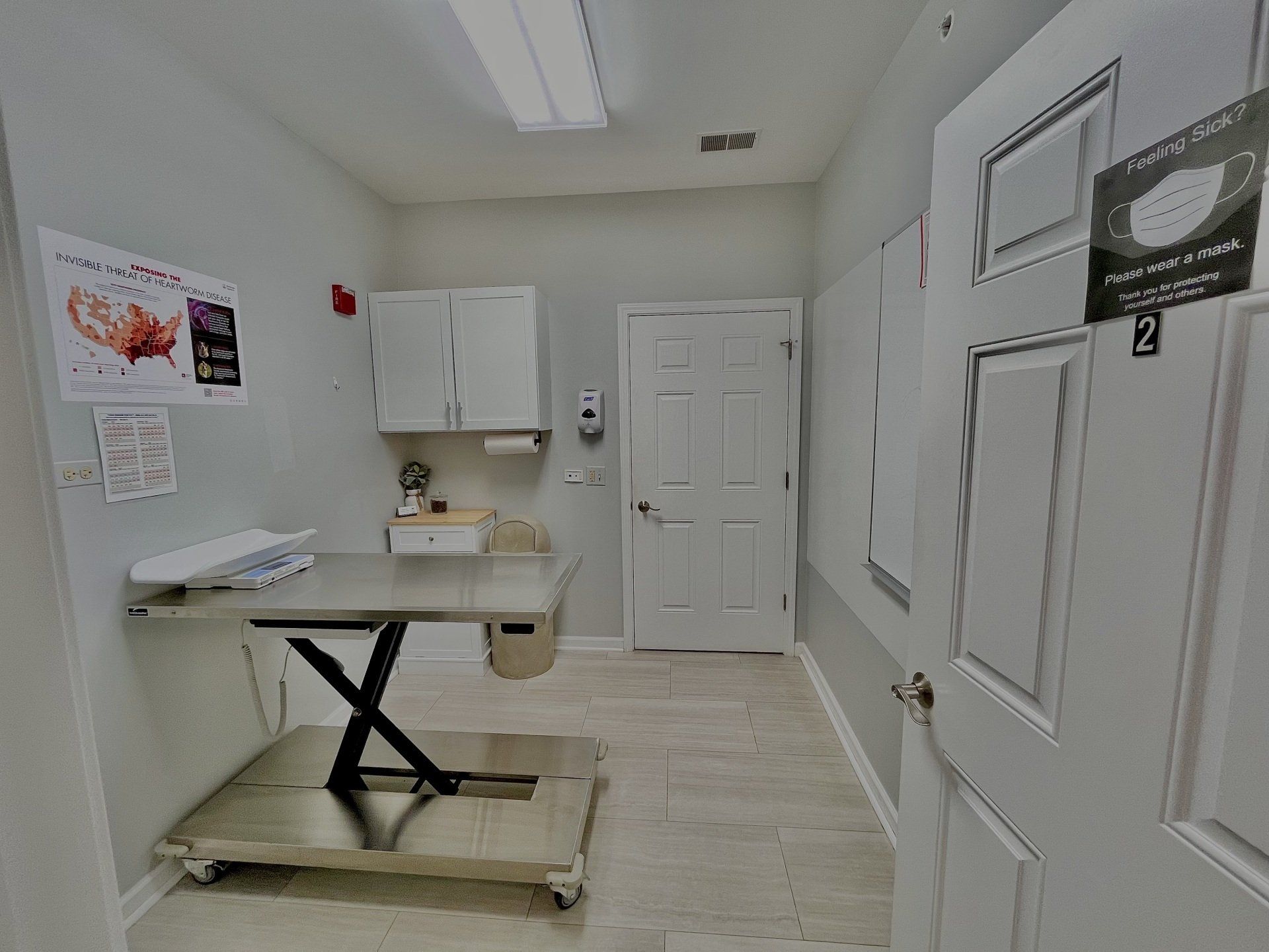 Services Offered By Hilltop Animal Hospital Veterinarian | Palatine, IL | Hilltop Animal Hospital