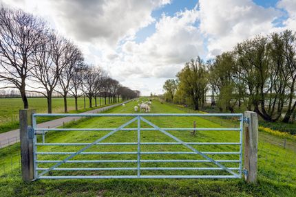 Galvanized farm steel gate