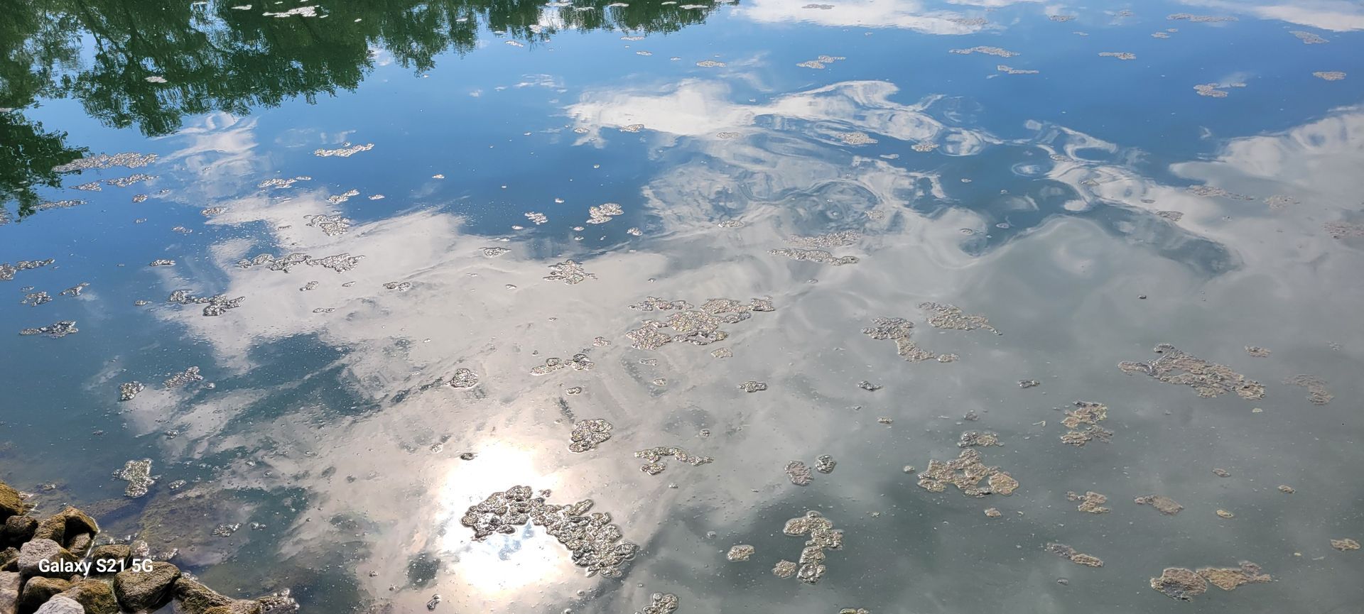 The sun is reflected in the water of a lake.