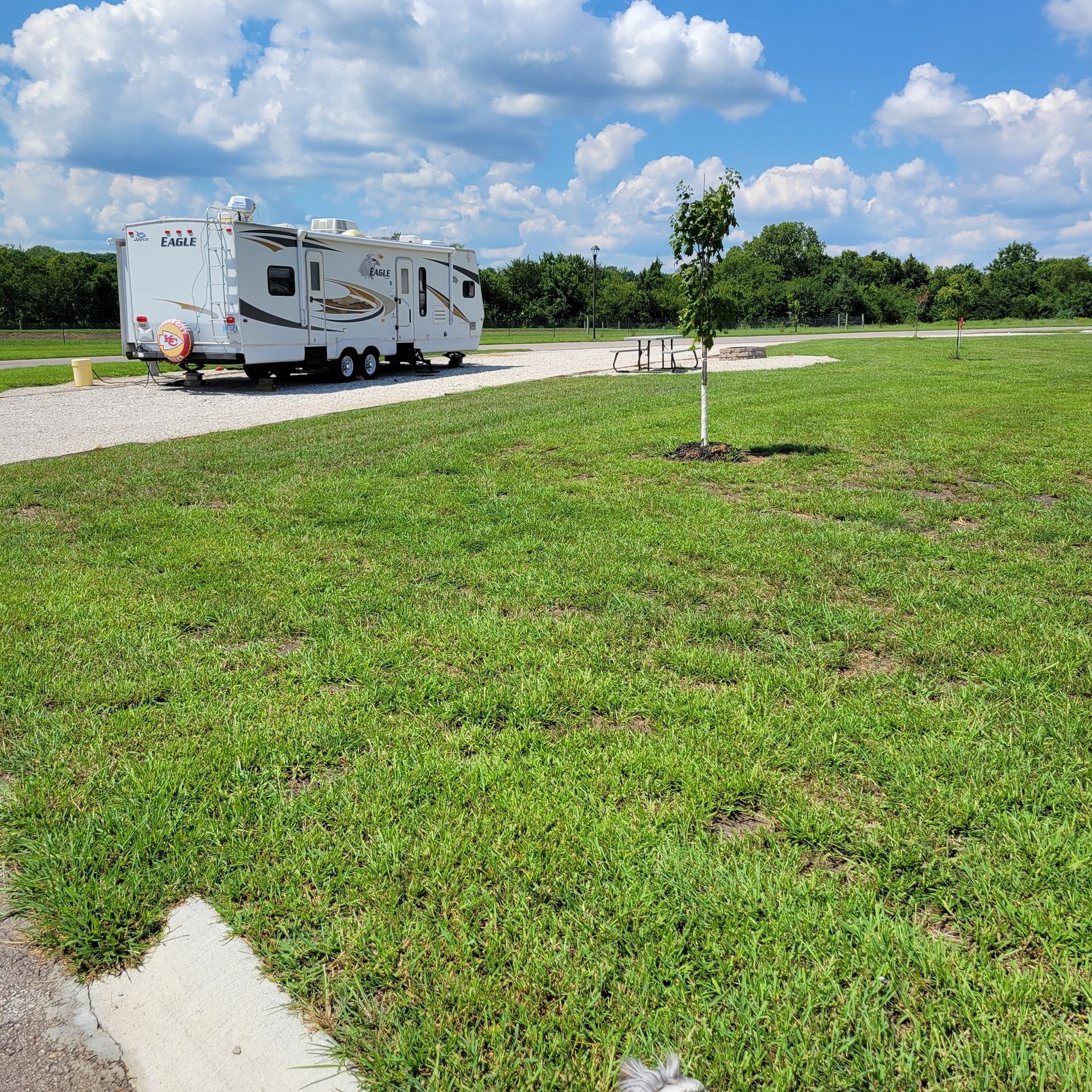 A rv is parked in a grassy field next to a tree.