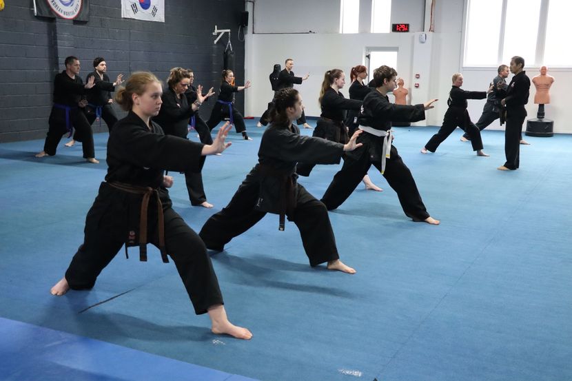 Korean martial arts Livingston Kuk Sool Won