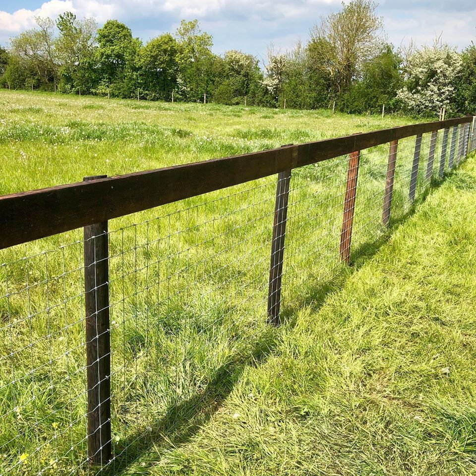 Equine Fencing Brackley