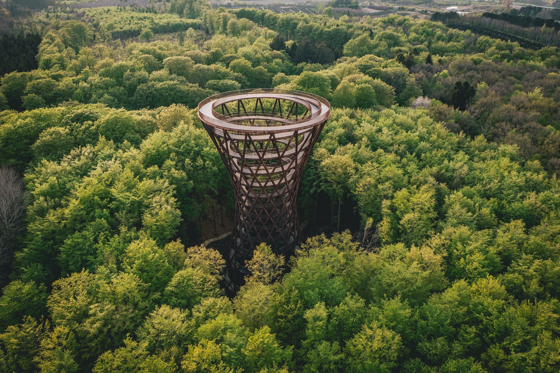 Forest Tower Tour