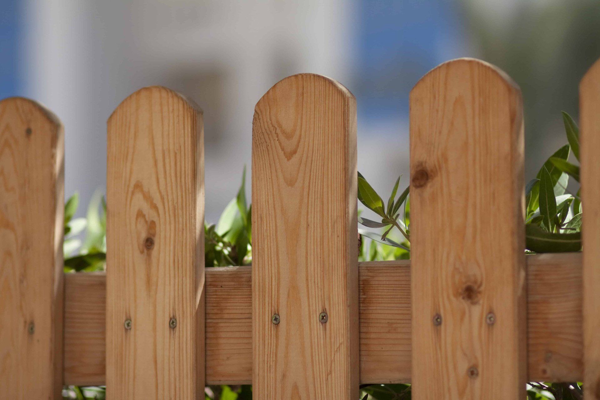 Timber fence installation