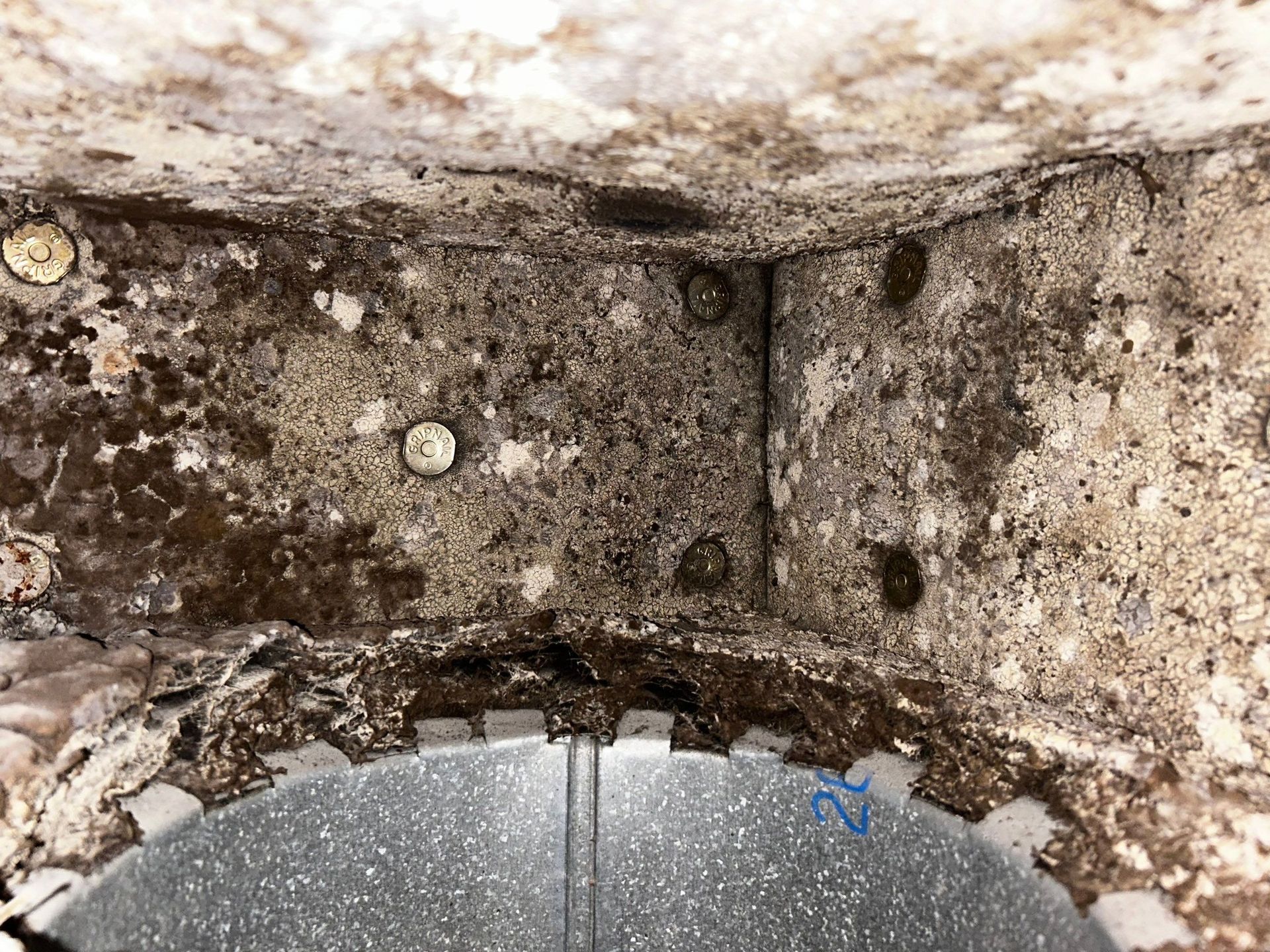 One of the best ways to control mold growth is through proper HVAC maintenance and regular duct clea