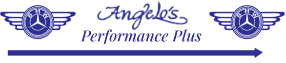 Logo | Angelo's Performance Plus