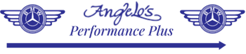 logo | Angelo's Performance Plus