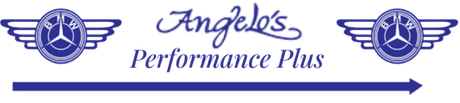 Logo Angelo's Performance Plus