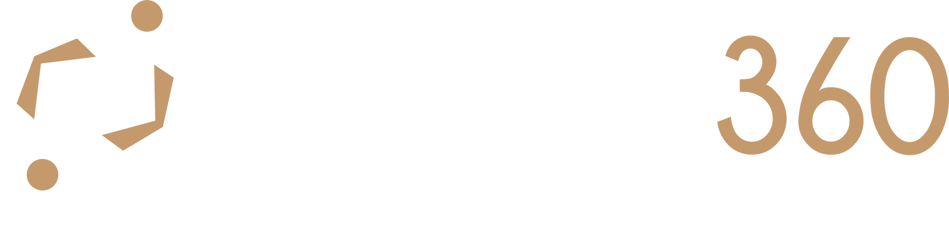 A white background with a brown circle and the number 360 on it.